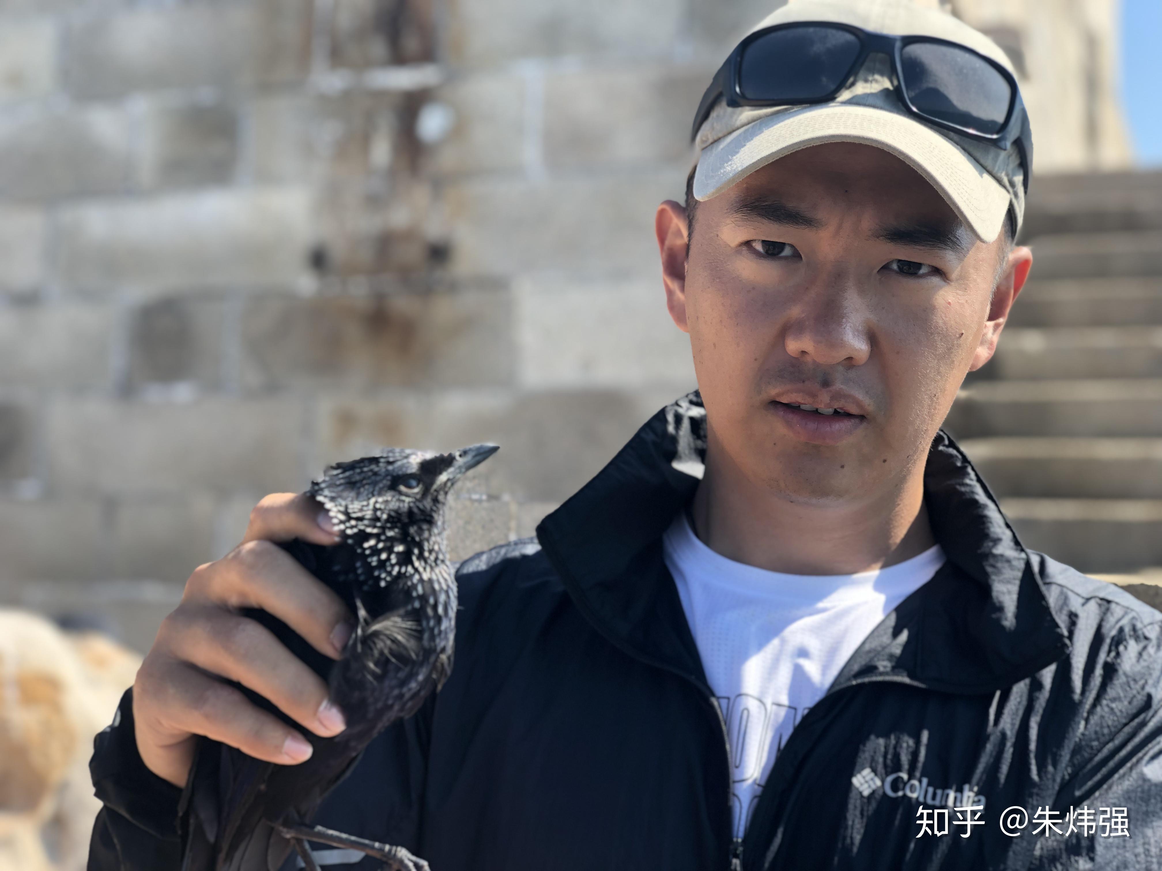 包含华夏面对劲敌，士气高涨决胜一战的词条